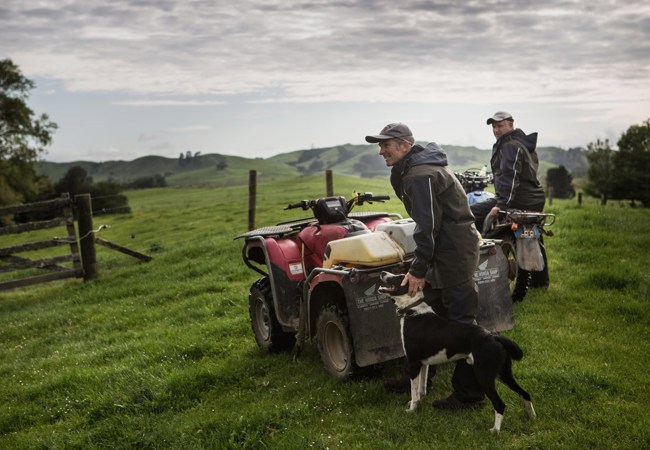 two men in field with dog and quad wearing kaiwaka farm wear
